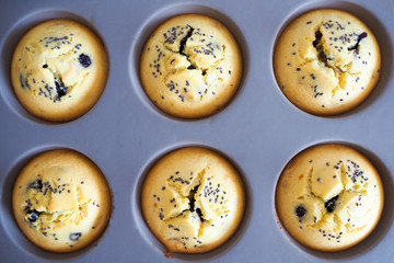 six gluten-free muffins in a gray silicone mold, sprinkled with Chia seeds and blueberry filling. prepared at home only from the oven. the view from the top