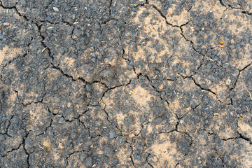 dry-cracked earth in a field