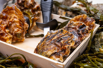 Fresh zeeuwse creuse pacific or japanese oysters molluscs on fish market in Netherlands