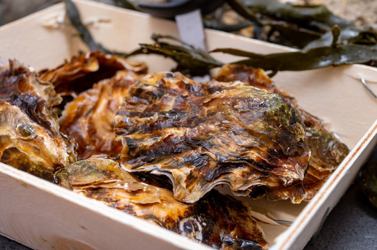 Fresh zeeuwse creuse pacific or japanese oysters molluscs on fish market in Netherlands