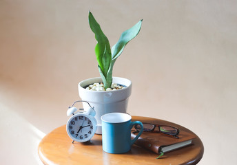 Sansevieria or snake plant, alarm clock, blue coffee mug, notebook and eye glasses on wooden table with morning sunlight,morning routine, gardening concept.