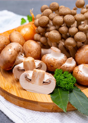 Fresh ingredients for tasty vegetarian mushrooms soup, brown champignons, buna shimeji, carrots