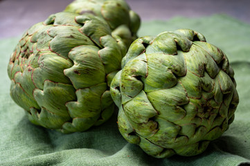 Obraz premium Big ripe uncooked green globe artichoks vegetables