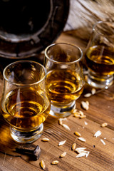 Small tasting glasses with aged Scotch whisky on old dark wooden vintage table with barley grains