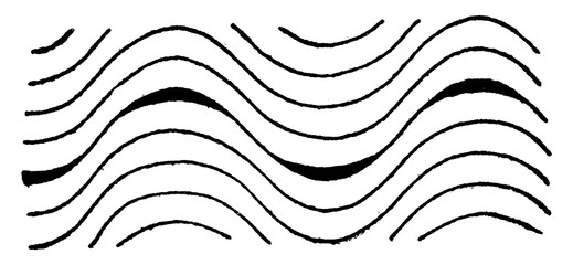 Phacoliths, vintage illustration.