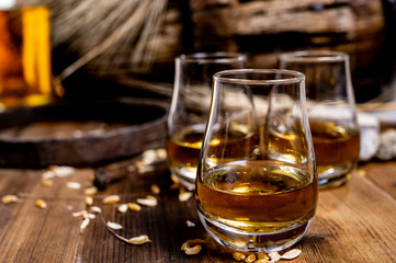 Speyside scotch whisky tasting on old dark wooden vintage table with barley grains