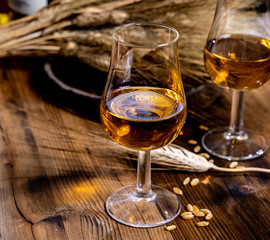 Tasting glasses with aged Scotch whisky or bourbon on old dark wooden vintage table with barley grains