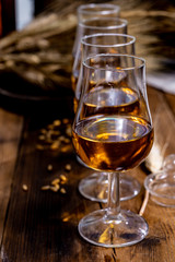 Tasting glasses with aged Scotch whisky or bourbon on old dark wooden vintage table with barley grains