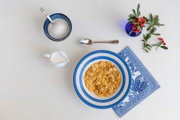 Bowl of cornflakes flatlay