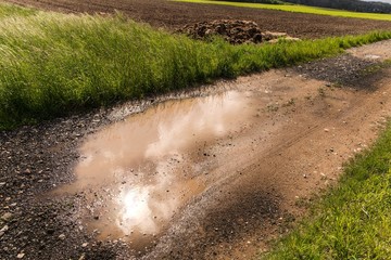 Pools of rainwater on a dirt road in the Czech countryside. Country road after the rain.