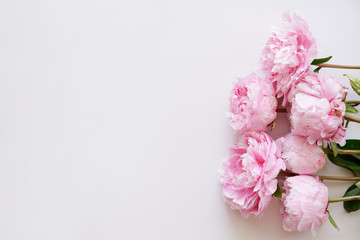Studio shot of beautiful peony flowers over textured background with a lot of copy space for text. Feminine floral composition. Close up, top view, backdrop, flat lay. © Evrymmnt