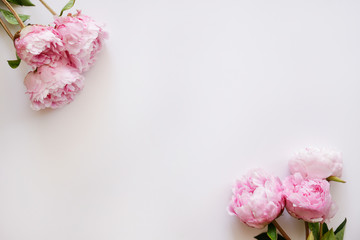 Studio shot of beautiful peony flowers over textured background with a lot of copy space for text. Feminine floral composition. Close up, top view, backdrop, flat lay.