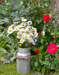 Frühling Margeriten Blumenstrauß auf einer Weise mit einer Tafel