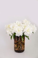 Studio shot of beautiful peony flowers over textured background with a lot of copy space for text. Feminine floral composition. Close up, top view, backdrop, flat lay.