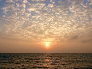 sunset over the sea