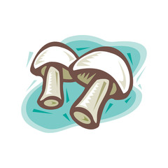 Different types mushroom, different size champignon. Mushroom champignon consisting of porous hat, long leg in EPS10