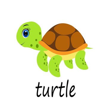 cute cartoon turtle illustration, vector character