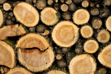 Stack of firewood texture background