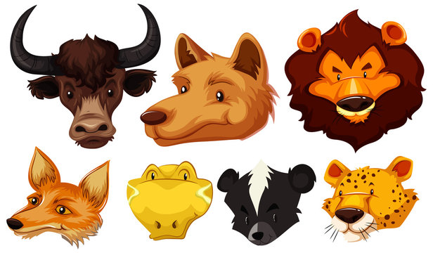 Set of various animal head