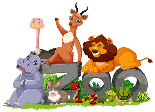 Group of animals with zoo sign