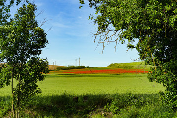 Fototapete bei efototapeten.de bestellen   