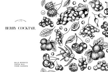 Hand drawn wild berry. Cherry, gooseberry, cranberry, raspberry, black currant, plum, rosehip, guelder rose, sea buckthorn, grape, strawberry. Vector vegan food banner. Package design, restaurant.