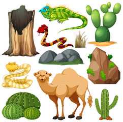 Set of cute desert animal and nature