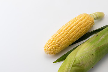 白背景の、とうもろこし