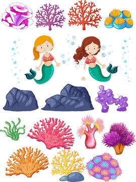 Set of mermaid and coral reefs on white background
