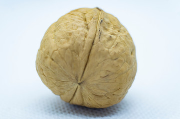 Fototapeta premium Walnut whole closeup. Macro photography