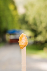 delicious gooey homemade honey on popsicle stick