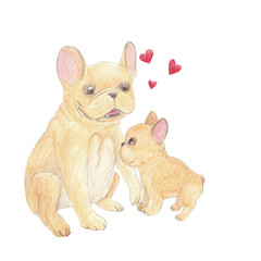 Parent bulldog and his puppy child is sitting together