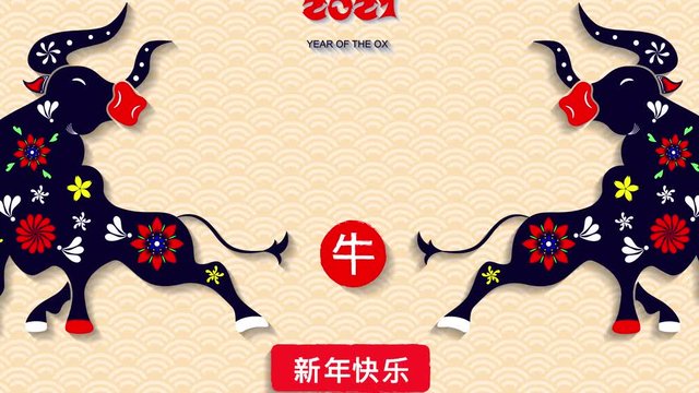 Chinese New Year 2021 Year of Ox. Oriental zodiac symbol of 2021. Vector Design. Hieroglyph means Ox, Happy new year. Motion Chinese New Year Festival.