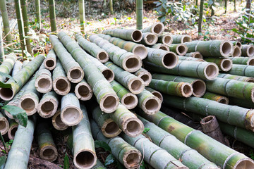 a pile of chopped bamboo ready to be materialized in a sturdy products