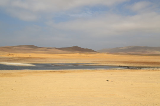 The splendid natural reserve of Paracas, Peru
