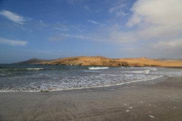 The splendid natural reserve of Paracas, Peru