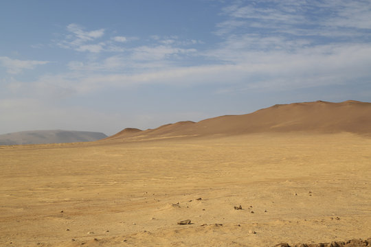 The splendid natural reserve of Paracas, Peru