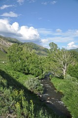 The bed of a mountain river with trees along the banks, with mountains and a cloudy sky in the background