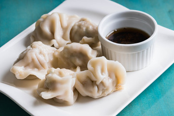 Korean pork dumpling or mandu with soy sesame garlic sauce 