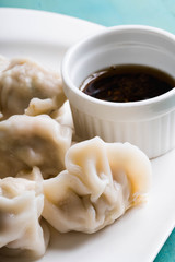 Korean pork dumpling or mandu with soy sesame garlic sauce 
