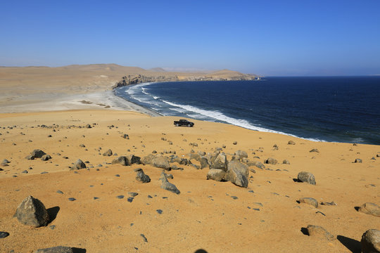 The splendid natural reserve of Paracas, Peru