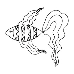 Isolated vector illustration of fish in doodle style on white background. Stylized goldfish with wavy lines. Can use for print, web, greeting card, invitation.	