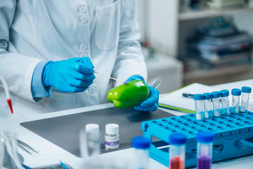 Food Quality Control. Biologist Examining Presence of Pesticides in Green Bell Pepper Vegetable