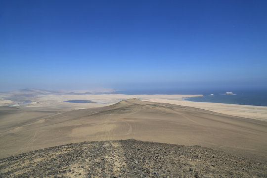 The splendid natural reserve of Paracas, Peru