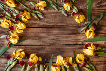 A lot of yellow irises on the brown wooden background. Flat layout with copyspace.