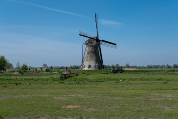 Fototapeta premium beautiful windmill landscape in the netherlands. Unesco Site.