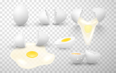 Chicken eggs whole, halves, cracked, broken, leaked, raw, boiled, shell set. Albumen, yolk.