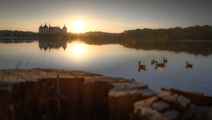 Fototapeta premium schloss moritzburg
