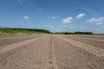 Agriculture. Pre seeding activities in early spring season of agricultural works at farmlands.