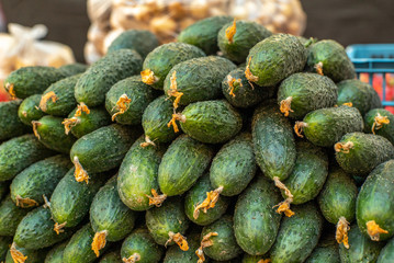 green cucumbers at the grocery market close up. Sale of products.